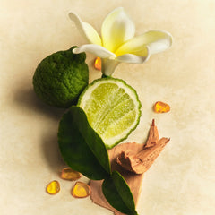 Mini Hair & Body Mist C5
